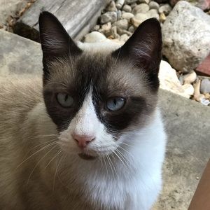 Meet your Posher, Penelope